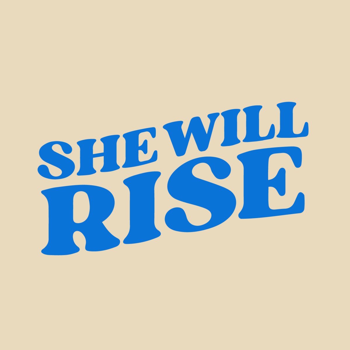 Systemic racism in America persists, in part, because our courts, legislatures, and civil services have always been predominantly white and male. The white male experience has defined the moral compass that undergirds our laws and policies.  #SheWillRise