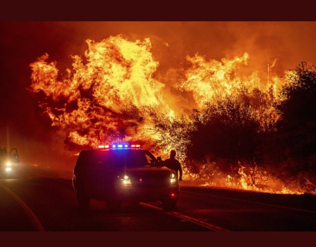 complexobrabo's tweet photo. Devido aos incêndios florestais que estão ocorrendo há dias na Califórnia, o céu do local está completamente amarelado/alaranjado. Segundo relatos, os cidadãos não estão sabendo quando escurece devido a mudança na cor do céu.
#california #incendio #ceuamarelo #ceularanja https://t.co/hyFgKew76T