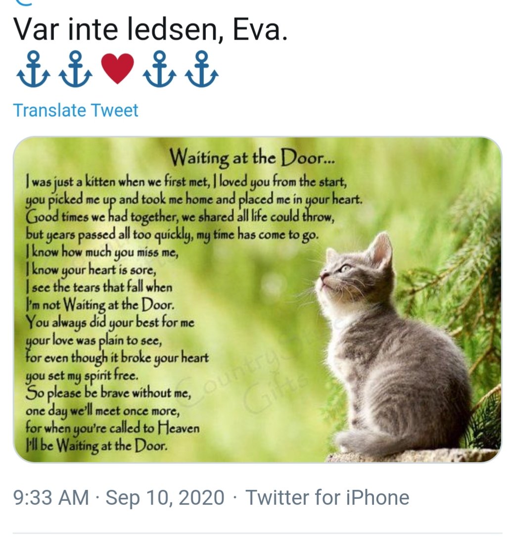 ᛖvᚪ Eva tweet media