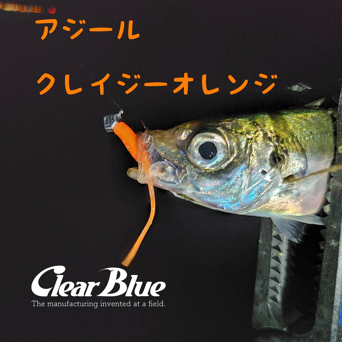 ippei_ClearBlue's tweet photo. やはり頼りになる!
今年から #アジール に追加された
#クレイジーオレン��
やっぱヤバい😁
#アジ #アジング #クリアブルー #ClearBlue #サイコロヘッドmini #アジール #クレイジーオレンジ #ブルーマジック64エキサイター #BlueMagic64EXCITER #青森市 #陸奥湾 https://t.co/vemqgqzPHv