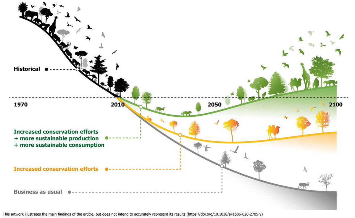 Bending the curve of biodiversity, just published in  @nature. What are the  actions needed to make it happen? 