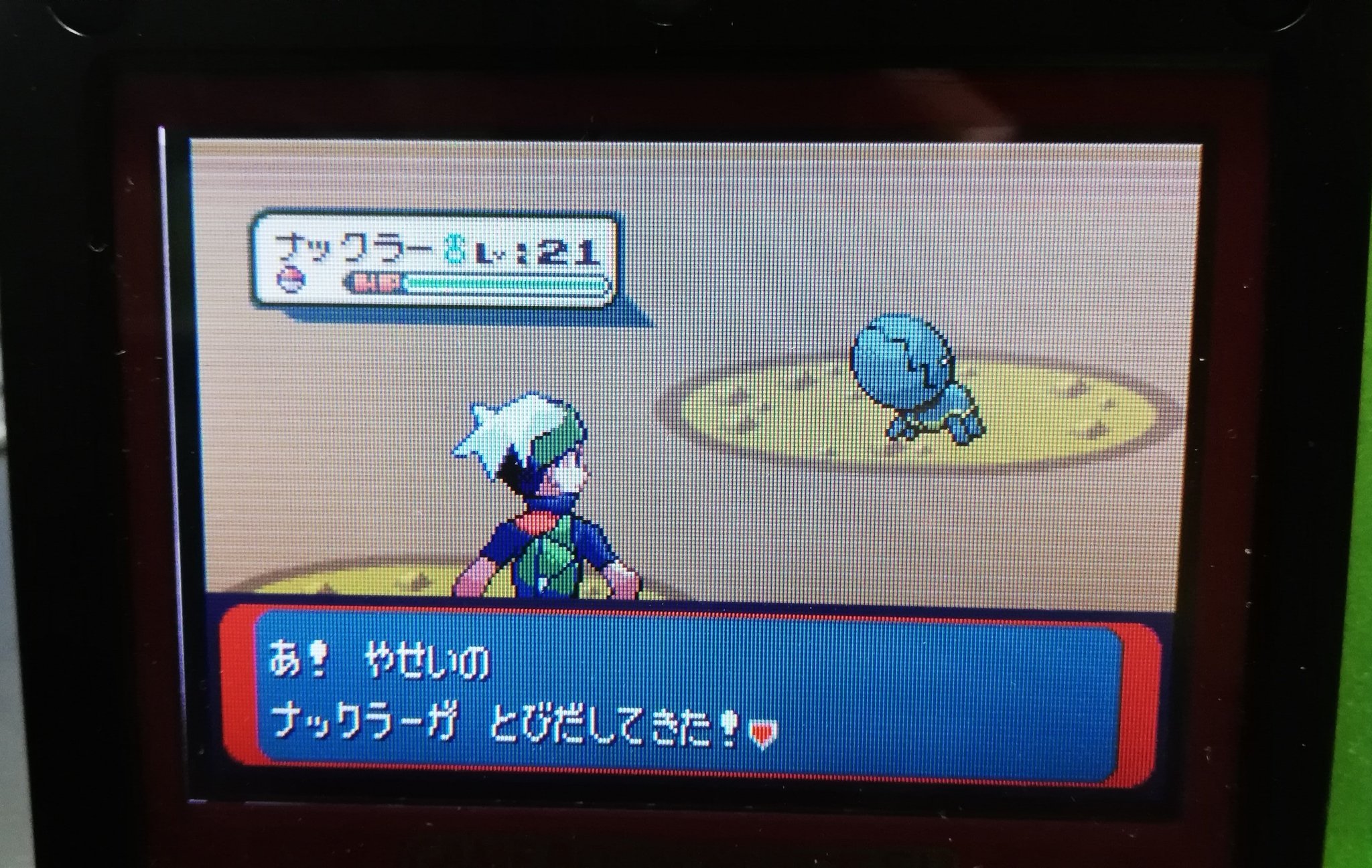 ミナキ エメラルド版ナックラー光りました 3gen Shiny Trapinch T Co B0zqino4ii Twitter ミナキ エメラルド版ナックラー光りました 3gen Shiny Trapinch T Co B0zqino4ii Twitter