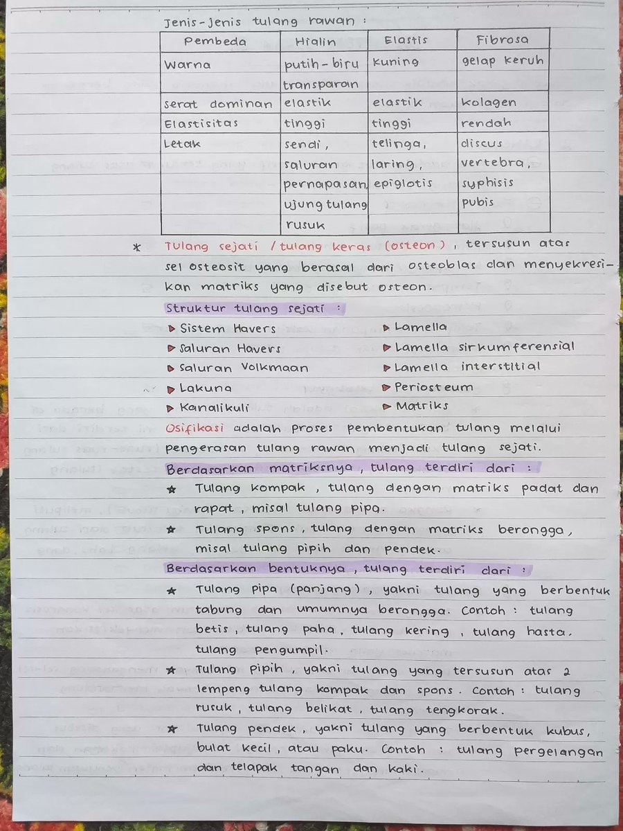 clearnote_id's tweet photo. 🦴 LENGKAP, CATATAN SISTEM GERAK KELAS 11 🦴

Catatan dari byratna di Clear ini rapi dan lengkap, kayak baca buku paket 👍😭 Dibahas mulai rangka sampe penyakit pada sistem gerak. Rekomen banget!
#saintek #biologi #kelas11 #sistemgerak #ambisverse #catatansekolah #belajar https://t.co/4z7GZ03dYF