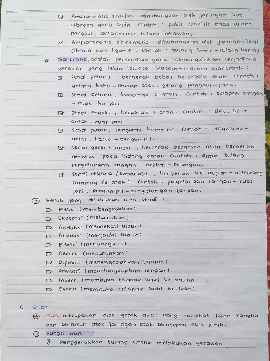 clearnote_id's tweet photo. 🦴 LENGKAP, CATATAN SISTEM GERAK KELAS 11 🦴

Catatan dari byratna di Clear ini rapi dan lengkap, kayak baca buku paket 👍😭 Dibahas mulai rangka sampe penyakit pada sistem gerak. Rekomen banget!
#saintek #biologi #kelas11 #sistemgerak #ambisverse #catatansekolah #belajar https://t.co/4z7GZ03dYF