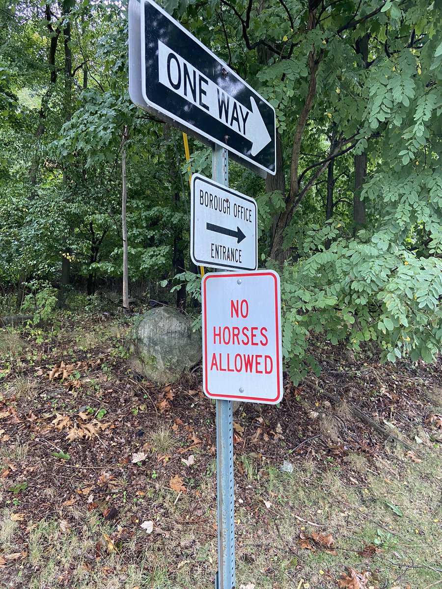 Jimbo061867's tweet photo. Now there’s something you don’t see everyday in Bergen county https://t.co/Ym13XoQSHb