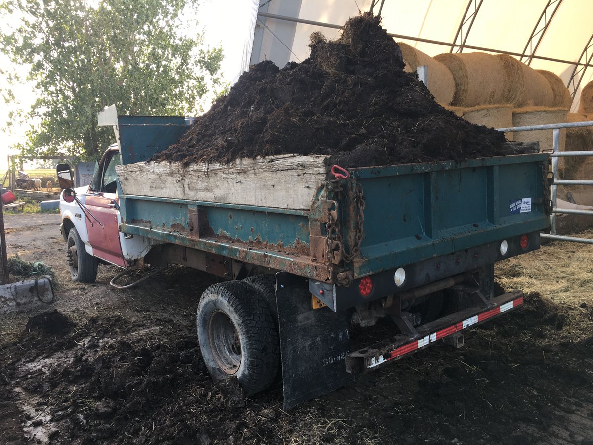 The transformation is complete and we finally have our own dump truck! Now we can haul composted manure to the fields that need fertility the most! #talentedwelderfarmer #blackgold #smalldairy  #grassfed