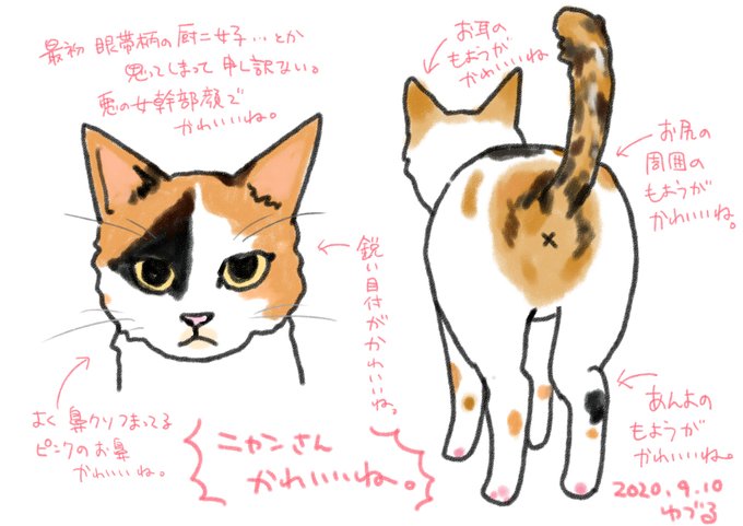 今日は(も)猫にゲロ甘デーだったので記録がてら可愛いと思うところを列記したのですがモブおじさんのようなコメントしか出てこない… 