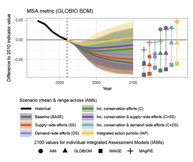 So how to get there? The other key result is that bold conservation and restoration efforts are key, but won’t be enough: it could fail to prevent about half of future losses, to secure a bending by 2050, and generate risks to food security 8/n