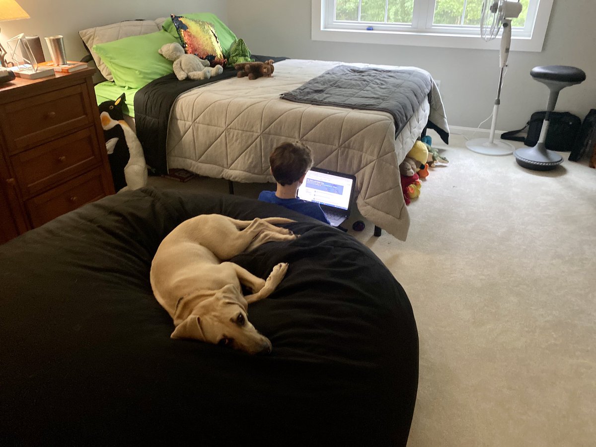 ErinMGrace's tweet photo. Day 3. #distancelearning is better with a friend! 🐾💻@fcpsnews @RavensworthES https://t.co/oE5L3mcm0y