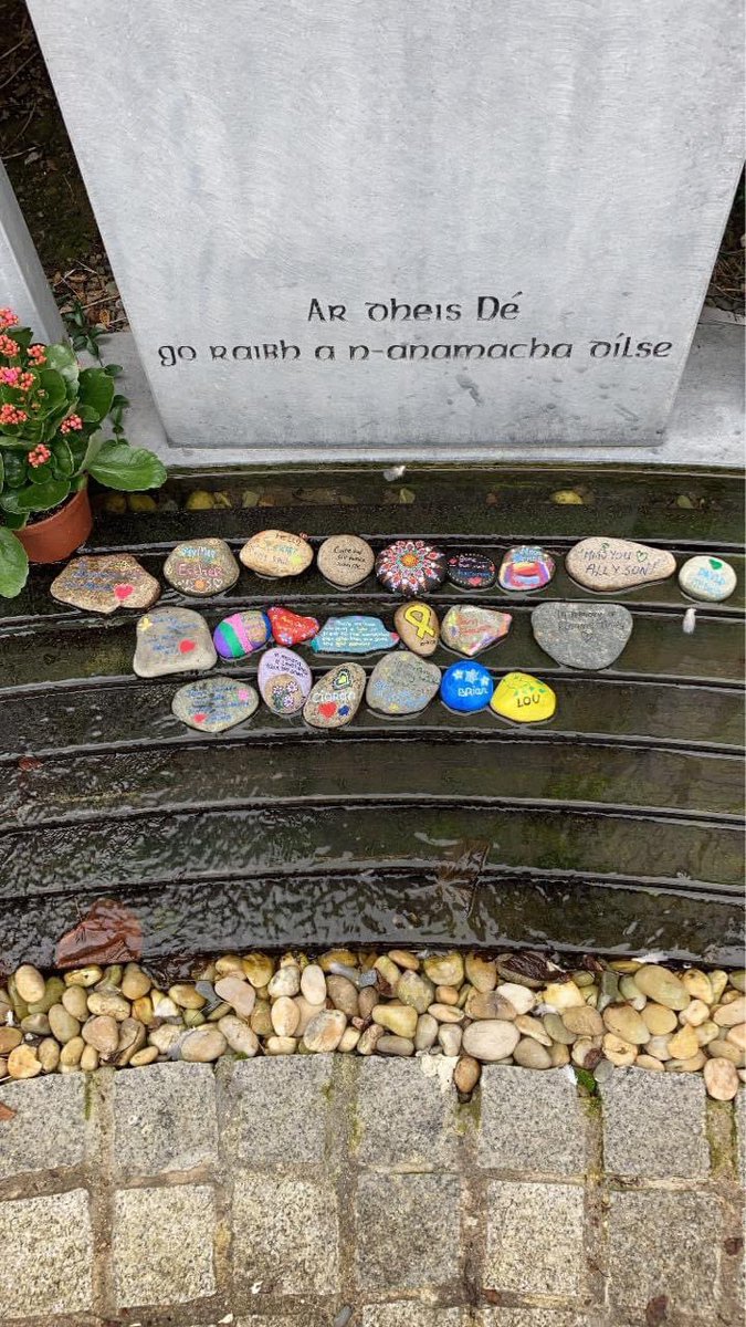 SOSAD_Ireland's tweet image. Come along today to the Memorial Garden at the Augustinian church to paint a stone in memory of a loved one ❤️

#WSPS2020 #TogetherWithSOSAD