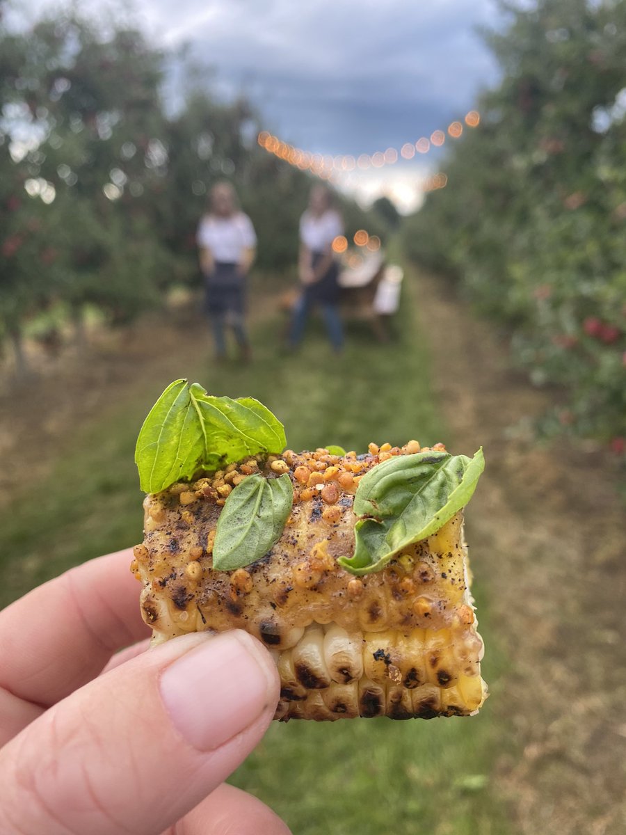 Suncrest Orchards tweet media