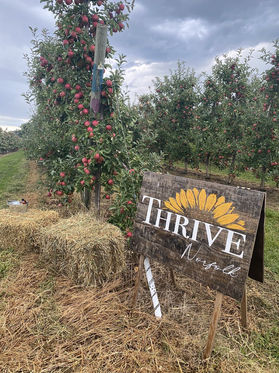 Suncrest Orchards tweet media