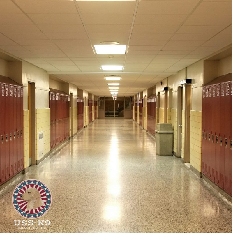 USSK_9's tweet image. Our Explosive Detection Sweeps can help schools respond to bomb threats. Learn more at bit.ly/2OeAZ1q or call 917-325-0202 #ExplosiveDetectionK9 #explosivedetectiondog #ussk9 #longislandny #longislandschools