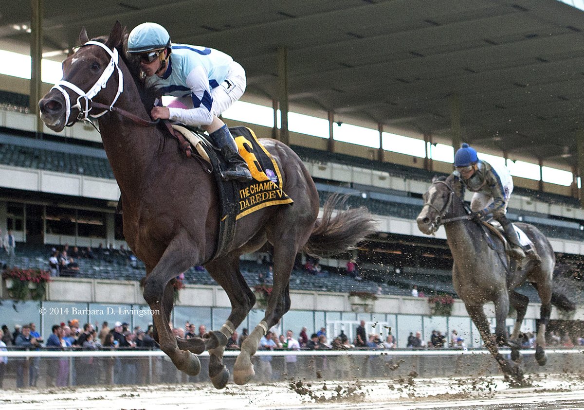 PletcherRacing's tweet photo. Another second generation #pletcherstallion in the making as DAREDEVIL sires the exacta in the GI Kentucky Oaks. Watch out UNCLE MO...MORE THAN READY is also making his claim as a #sireofsires.

photos courtesy of the incomparable @DRFLivingston https://t.co/r51dKjKcPy