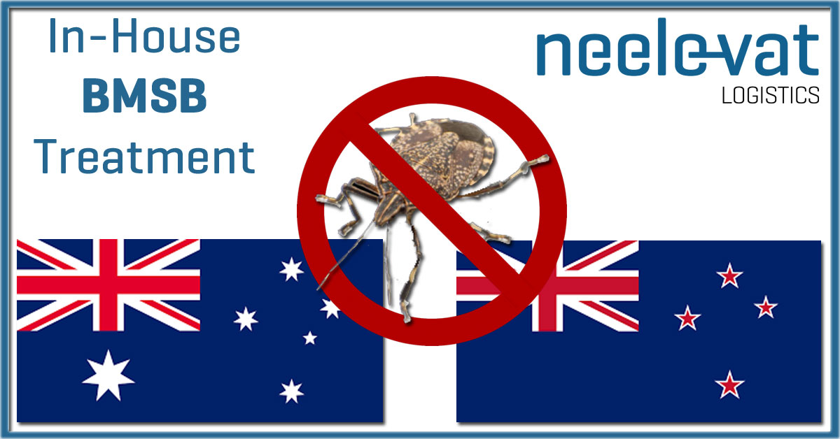 Brown Marmorated Stink Bug (BMSB) aka the "Stink bug”

Neele-Vat Logistics can treat your goods, containers,
and products in accordance with Australia’s country requirement against the Brown Marmorated Stink Bug. We carry out the so-called BMSB treatments all in-house.
#BMSB