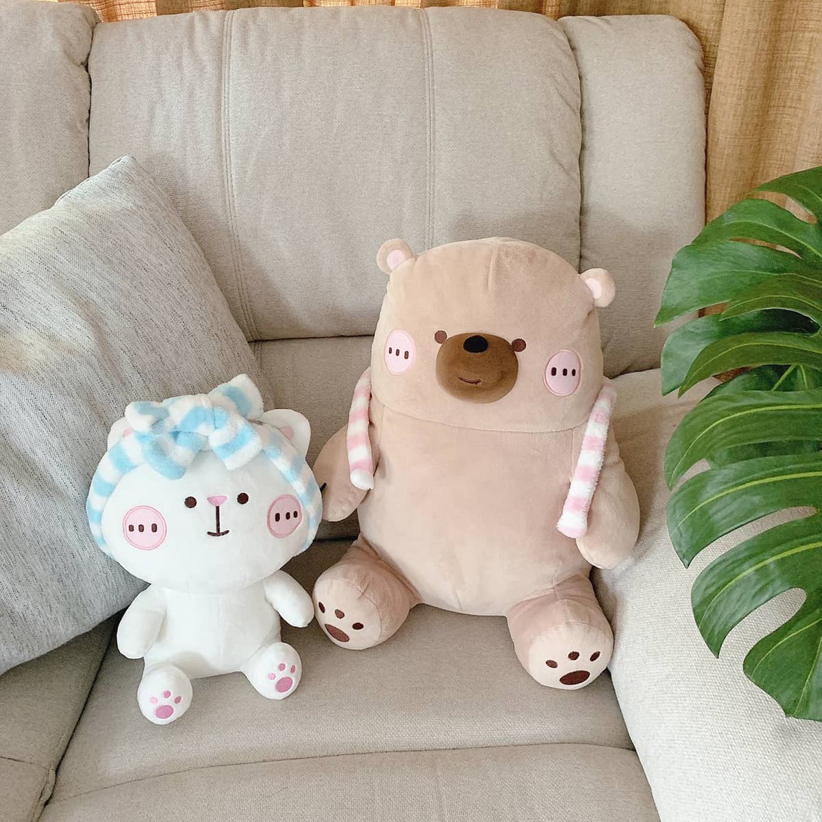 smaisiam's tweet photo. บ้านอบอุ่นขึ้นตอนมีเธอมาอยู่ด้วยกัน 🐻☁️🐱 https://t.co/n22kPubhbi