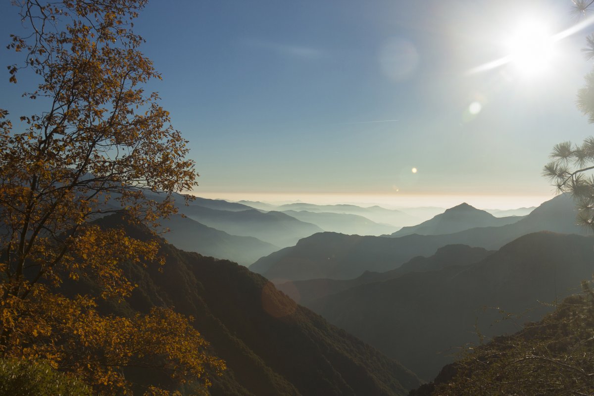 NPCA's tweet photo. Visible pollution, or haze, consists of tiny particles & gases in the air that make it harder to see things in the distance. Haze pollution obscures scenic park views and affects ~90% of national park sites. #ParksInPeril 📃 Read our #PollutedParks report: https://t.co/Ux0hYzYpmh https://t.co/crj3ovralS