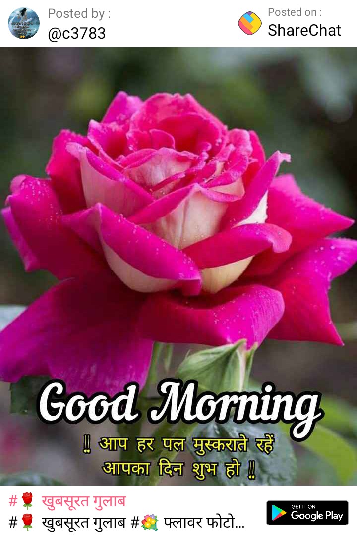 hyper00000's tweet image. 