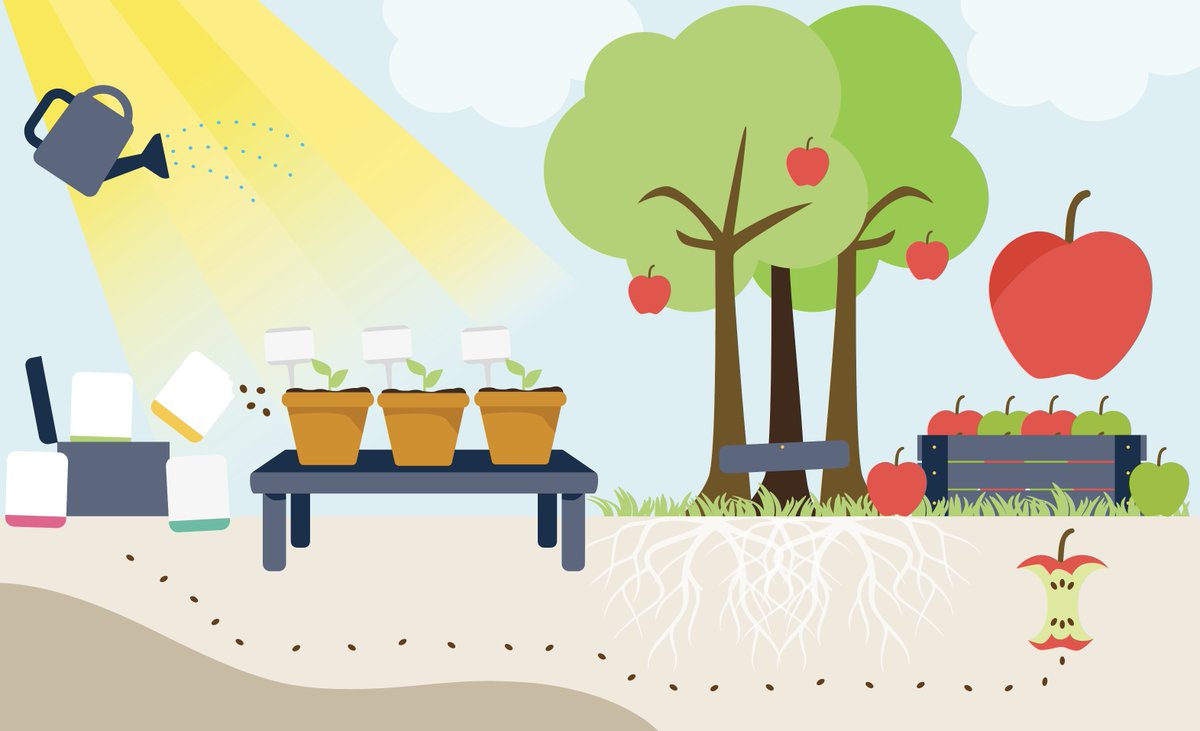 discoverhg's tweet photo. The first draft of this morning's #infographic minus the text. I'm either a genius or I've lost it! Either way, I picked up a few new skills in #AdobeIllustrator https://t.co/Yg9RDCkAbT