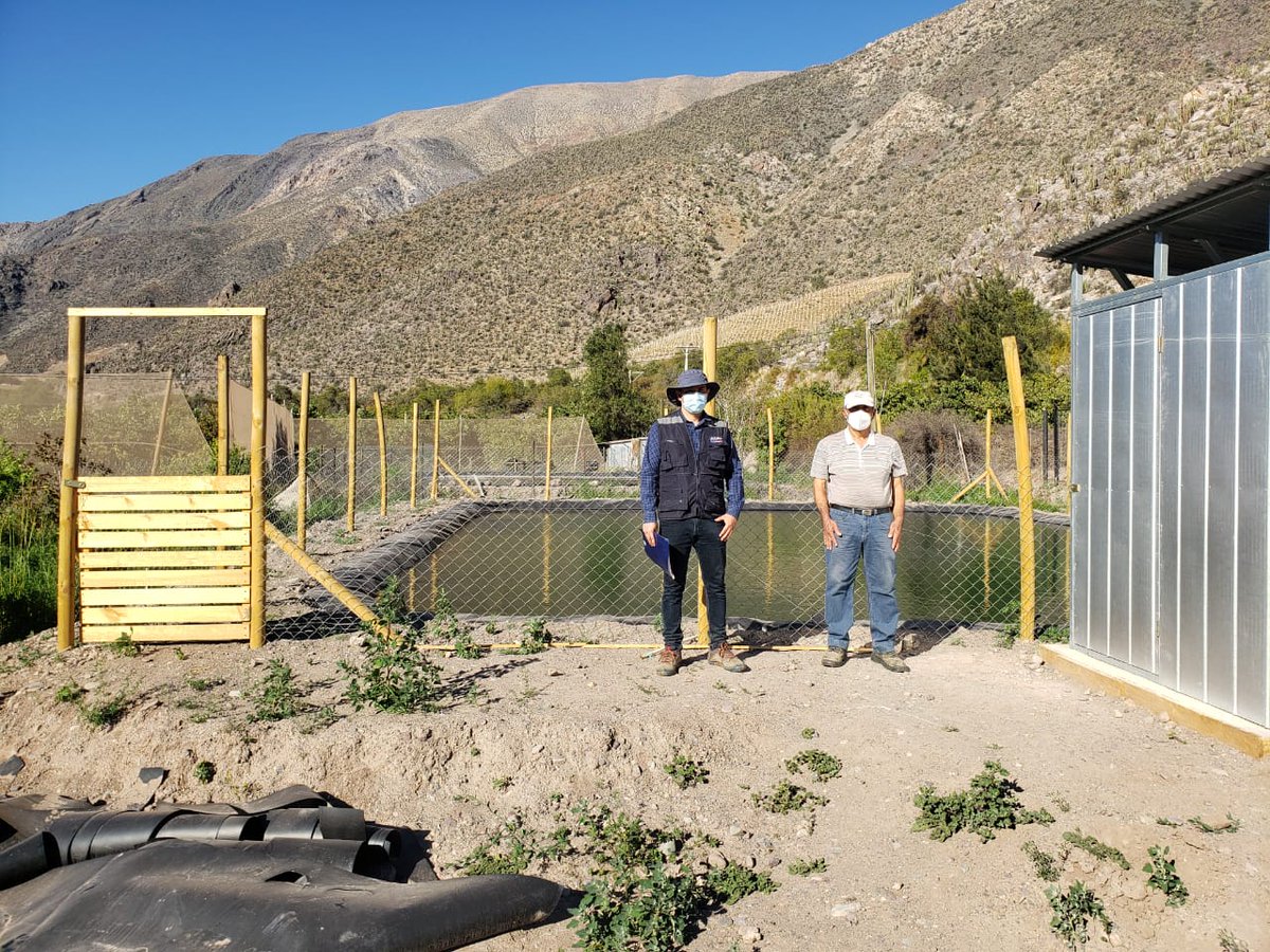 El Programa de #RiegoIntrapredial #PRI es una gran herramienta para mejorar la gestión del agua💦

Visitamos a👨‍🌾Alfredo Pinto #LaCampana #Vicuña para supervisar funcionamiento de sistema de #riego tecnificado y estanque de acumulación enfocado a optimizar💧para su cultivo de 🥑