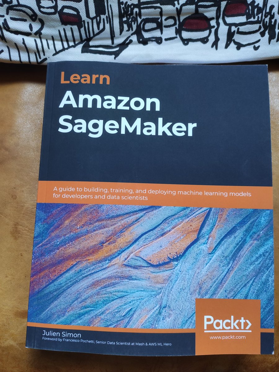 rsimonfr's tweet photo. @julsimon Just received my copy👍. I know my next Reading . #aws #sagemaker https://t.co/fHfTOqKUWC