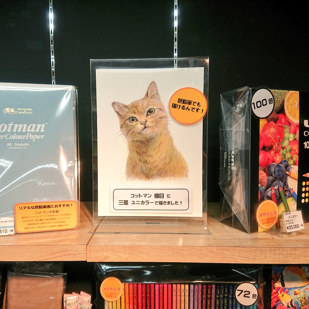 トゥールズ大阪梅田店 色鉛筆でも描けるんです 気軽に手に取れる画材といえば色鉛筆 そんな手軽な色鉛筆でもこんなリアルに描けちゃいます トゥールズ大阪梅田店ではリアル色鉛筆画におすすめの画材紹介中です O ぜひ一歩踏み込んだ色鉛筆の