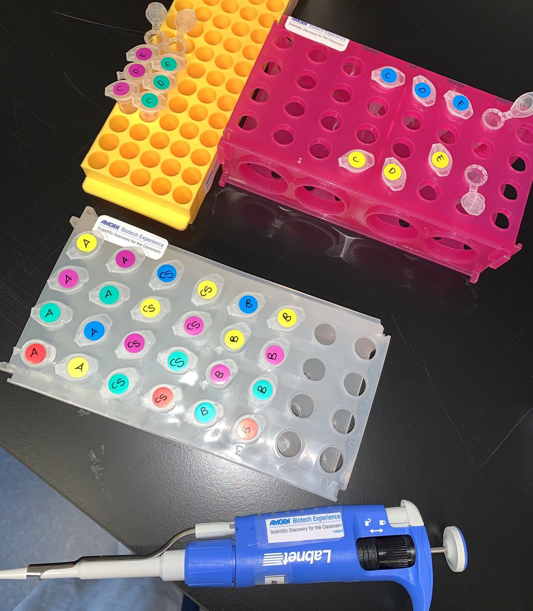 Baz_Xo's tweet photo. Getting my last crime scene samples ready for my last workshop on Saturday 💔 @abe_ireland @sysbioire https://t.co/q6hXXq1m3h