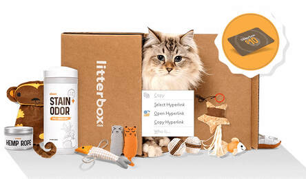 cprRescue's tweet photo. Use this link to sign up for a monthly subscription cat box, filled with unique toys & premium products: https://t.co/WDaGElZNOz. CPR will get a donation for each person who signs up! #spoilyourcat, #litterbox, #cpr, #supporcpr, #signup, #catsrule, #petmom, #petdad https://t.co/qoRFOXBIOh