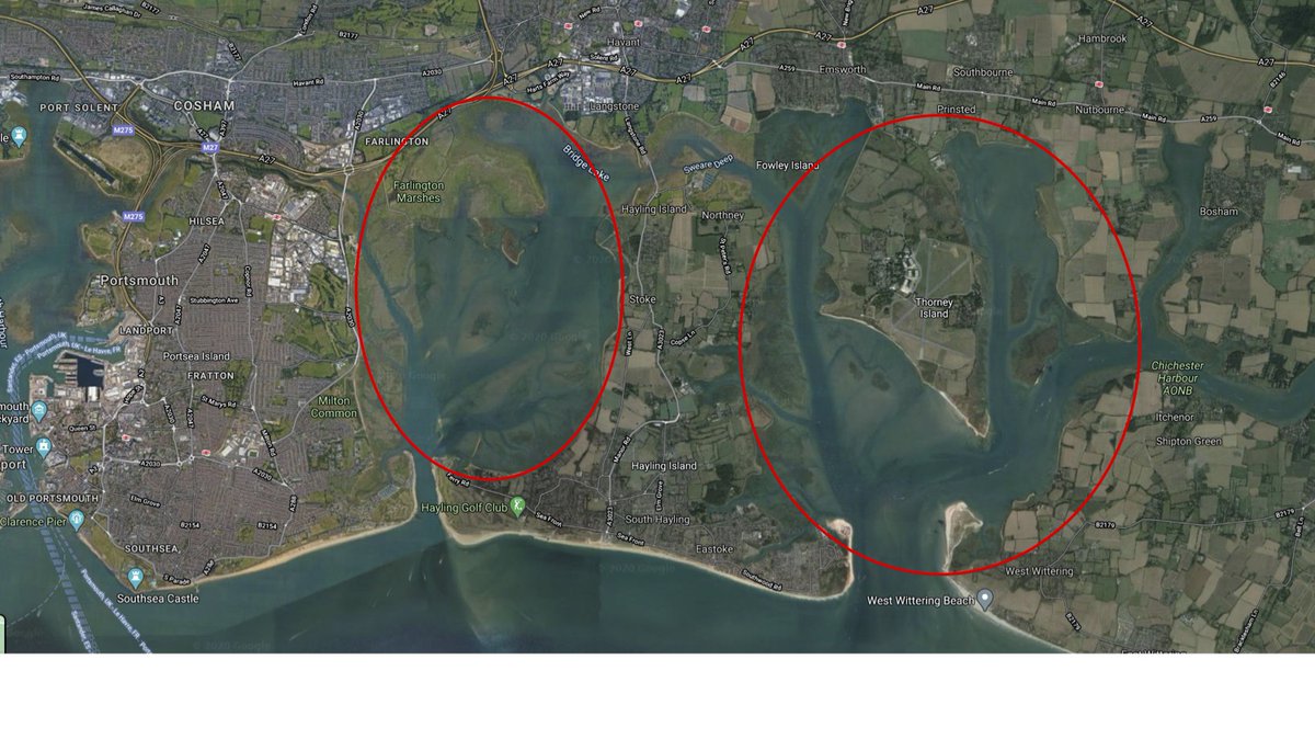 The present study was based in Hampshire, SE England. We used a 20-year seal count dataset from neighbouring Chichester and Langstone Harbours and 3-year photo-ID dataset from Chichester Harbour (7/14)