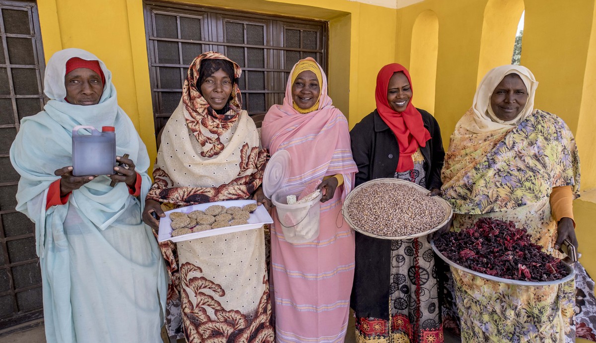 UNDP_Sudan's tweet photo. Working with @UNAMIDNews &amp; other @UN agencies, @UNDP has built or rehabilitated 50 pieces of infrastructure in Darfur – like water wells, youth centres, dams and job hubs. See more: https://t.co/VFMcy1x7pn &amp; learn more: https://t.co/RtrUyfYIzr #SLFDataMapping https://t.co/Kh2gA8amLZ