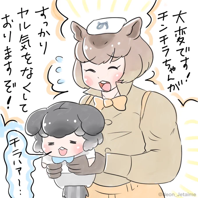 本格的にヤル気を無くしたチンチラ 