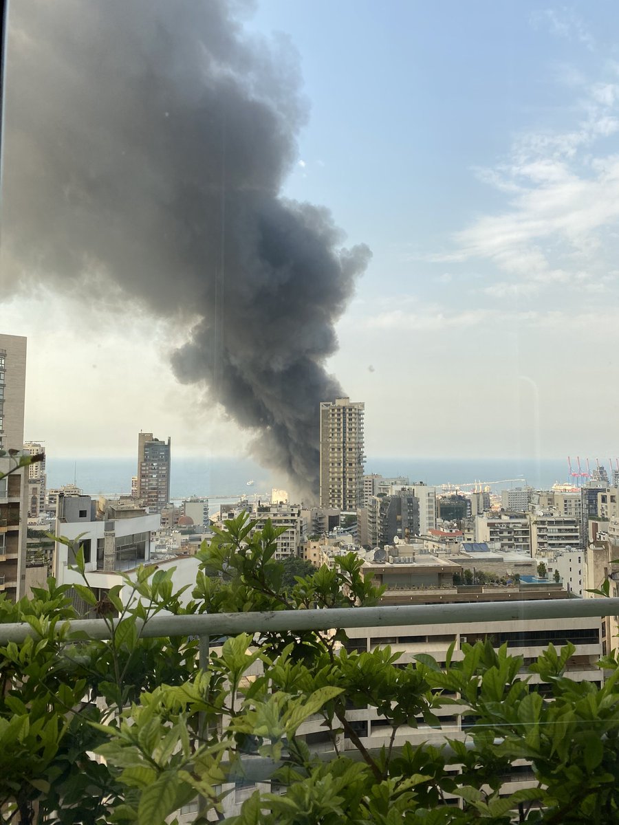 Yara Almously tweet media