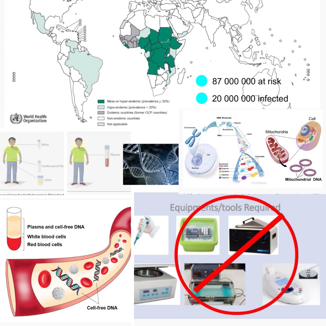 Hope Rises International (@hoperisesintl) on Twitter photo 🏆 FIRST PLACE for the 2020 #NTDs #Innovation Prize goes to M. Arnauld Efon Ekangouo & Dr. Hugues Nana Djeunga at CRFilMT in #Cameroon. Their project will receive $20K to explore an #onchocerciasis #diagnostic process using cell-free #DNA from saliva & urine. <a href="/NovartisGH/">Novartis Global Health</a> #NNN2020 🏆 FIRST PLACE for the 2020 #NTDs #Innovation Prize goes to M. Arnauld Efon Ekangouo & Dr. Hugues Nana Djeunga at CRFilMT in #Cameroon. Their project will receive $20K to explore an #onchocerciasis #diagnostic process using cell-free #DNA from saliva & urine. <a href="/NovartisGH/">Novartis Global Health</a> #NNN2020