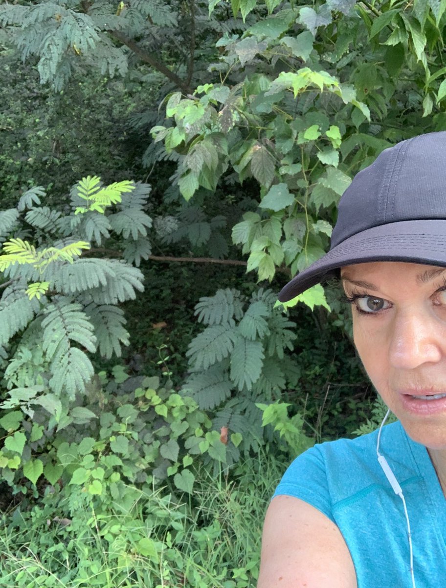 newstucker's tweet photo. Extra adrenaline boost during morning workout: one eye on the trail, one on the lookout for tiger ...🐅 #missingtiger @6News https://t.co/JJpNKx0X13