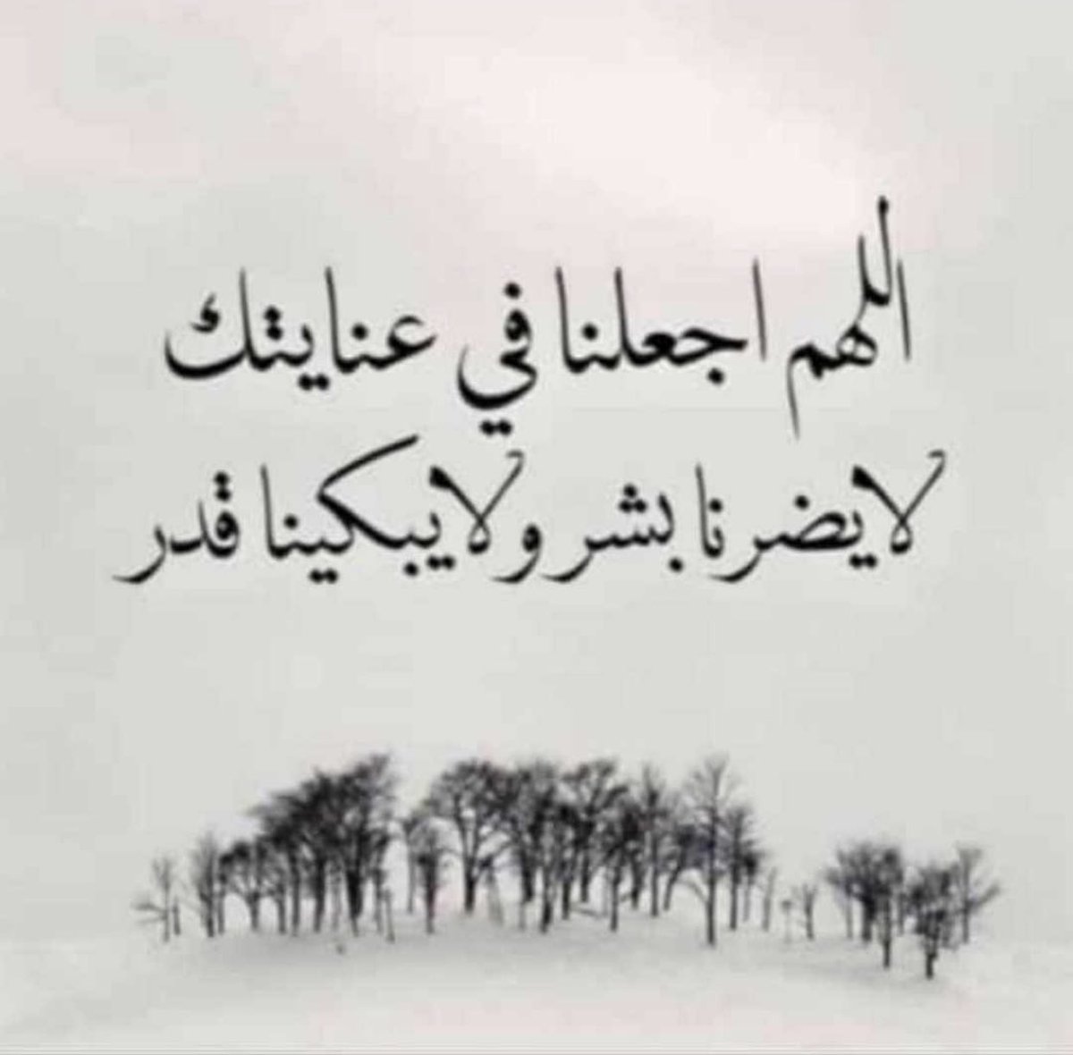 NAQ88_Almx's tweet photo. https://t.co/WtFv3ywhNG