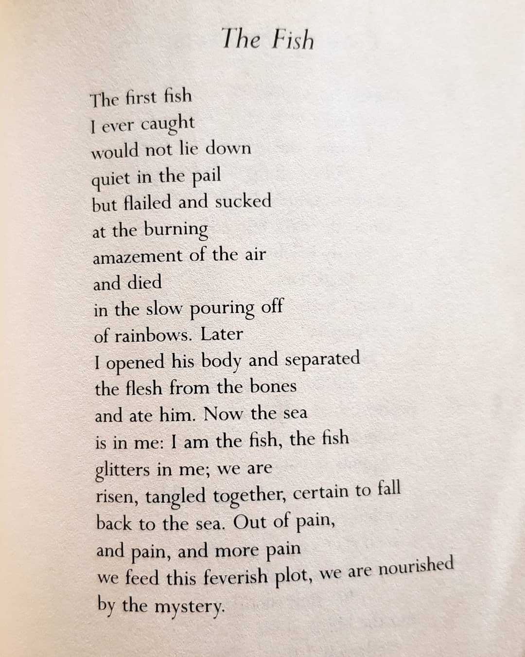 Reading Mary Oliver renews normal Happy 85th Birthday, Maestra 