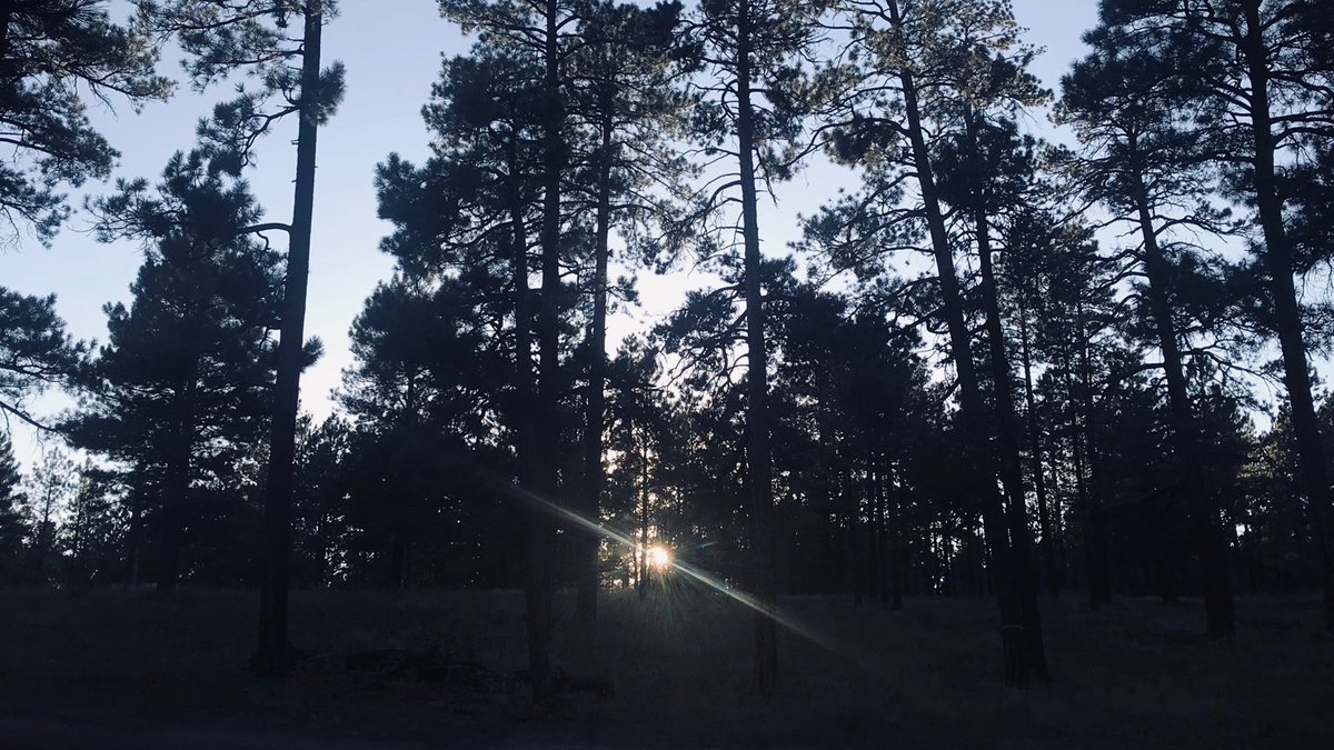 beyond_FLG's tweet photo. Cool, crisp, morning in Flag. #FlagLife #ConnecttotheEnvironment https://t.co/iMQPnrMckd