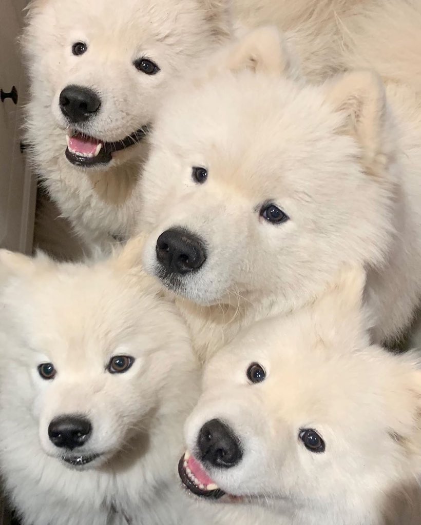 ทุกคนรู้แฟนคลับรู้เจโน่คือคนที่จ๋องที่สุด