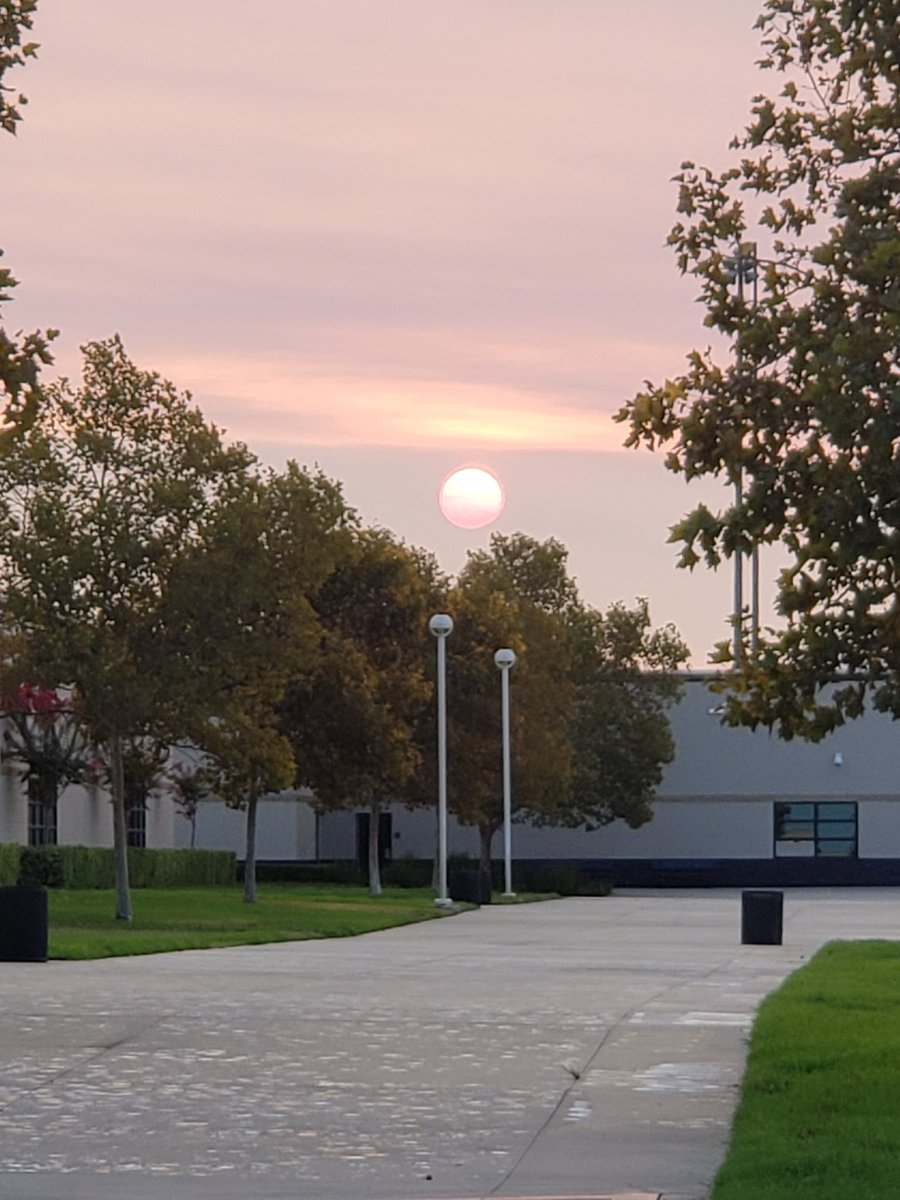 AvidLos's tweet photo. Good Morning Grizzlies! Regardless of fear, stress, school closures or pandemics....The sun still rises over Grizzly Nation! @CaptGrizzly @RiveraMrsRivera @LOHSMalone https://t.co/2wlrHAfb0O