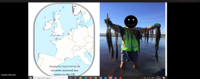 UA_DTA's tweet photo. Some of our DTA Energy Researchers have delivered very slick & professional presentations on Renewables in this afternoon's paralelle sessions, encouraging good audience engagement at the ICESF 2020 conference. Well done, we're proud of you! 🙌 #DTASummer2020 @UniofHerts @icesf1 https://t.co/WiHmbZvmC0