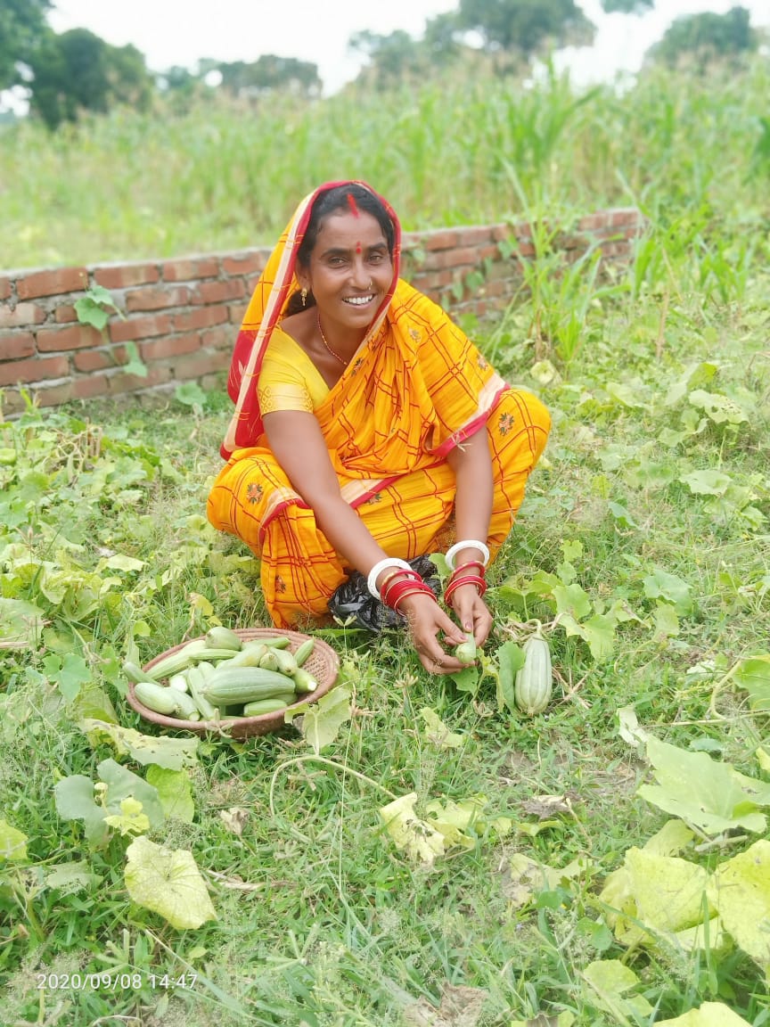 prakashpataniya's tweet photo. There is a need to strengthen #NutritionStatus of Children, Women &amp; AdolescentGirls in food insecure households by promoting #KitchenGarden so they can have sustained access to food &amp; various source of nutrition.
#EffortsOfPanchayatLeadersFromBihar
#POSHANMaah2020 
@c3_india https://t.co/RobH72MQ7q