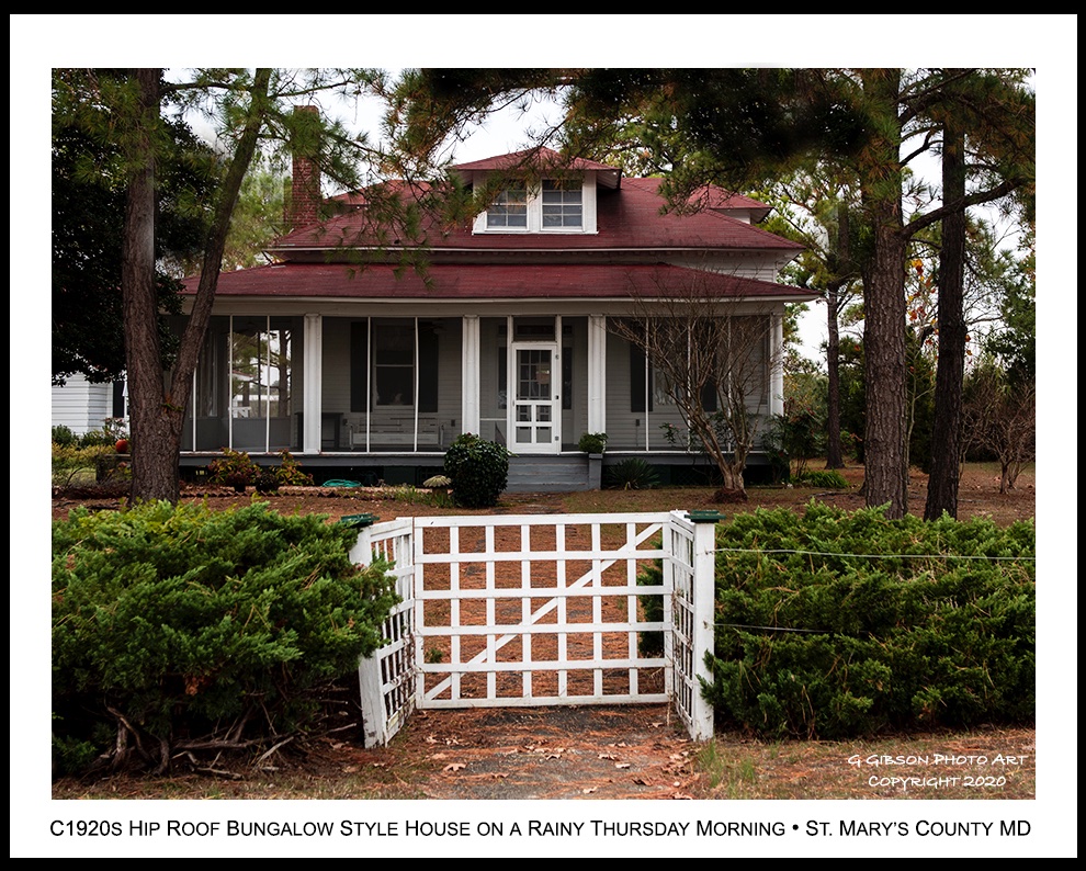 CuratorOfTheBay's tweet photo. Fallen #Pine #needles adorn the front yard of a c.1920s #Hip #roof #Bungalow style house located along the lower #Potomac #River on a Thursday September #morning in St. Mary's County #Maryland,

Glenn https://t.co/ffzjhi7SvD
