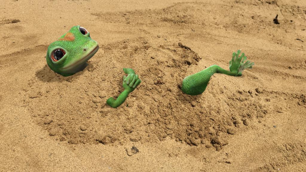 TheGEICOGecko's tweet image. Who else does this every time they go to the beach? #Sand #Beach