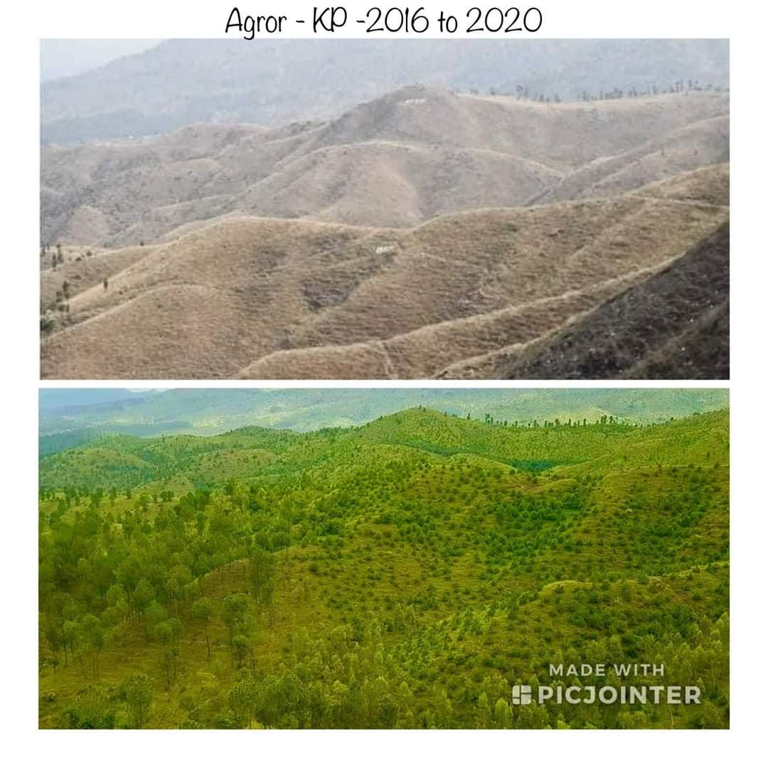 imIftikharUddin's tweet photo. Khyber Pakhtunkhwa #Agror
#10BillionTreeTsunami🇵🇰🇵🇰 https://t.co/Mc0tzo8OMu