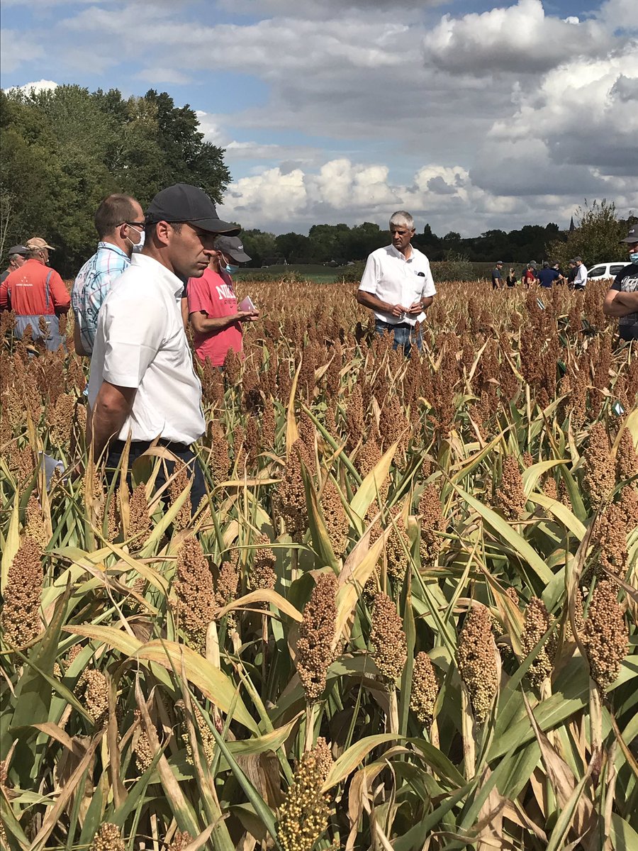 Olivier COSTE tweet media