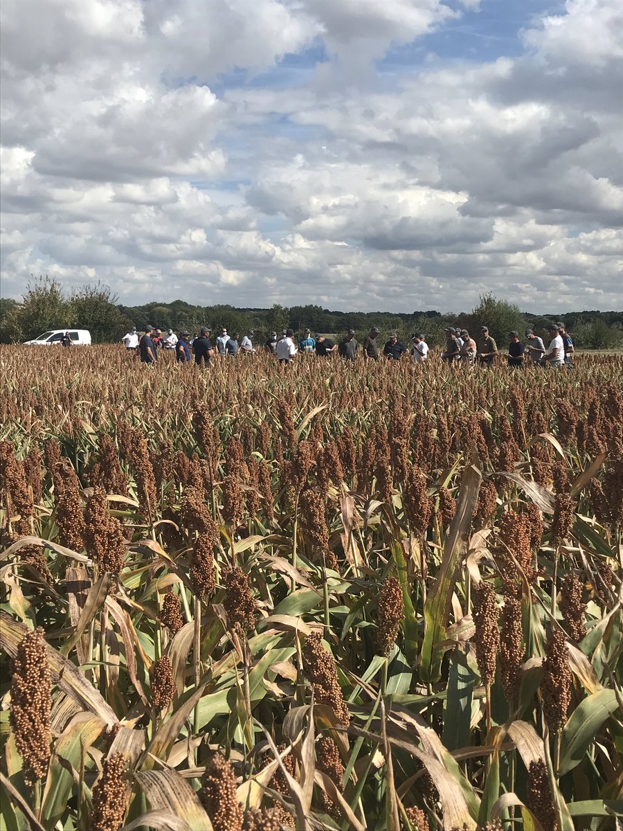 Olivier COSTE tweet media