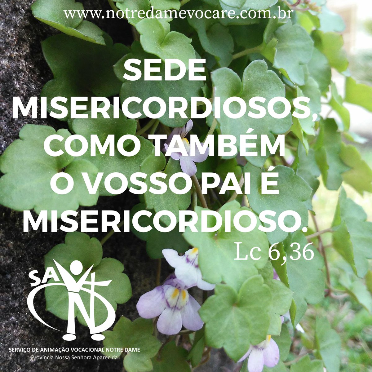 notredamevocare's tweet photo. Mês da Bíblia! 
No Evangelho de hoje, Jesus nos convida a vivermos o amor, a misericórdia, a generosidade! 
#EvangelhoDoDia #EvangelhoDeHoje #Evangelho #MêsDaBíblia #Amor #FazeroBem #Misericórdia #Bondade #Deus #Bendizer #Rezar  #IrmãsDeNotreDame #Gratuidade #Generosidade https://t.co/iUgqakuOLO