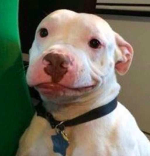 the perfect tattoo DOES exist