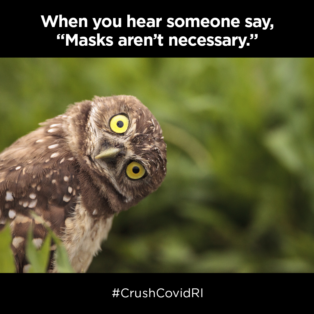 RDWGroup's tweet image. What do you "meme," information about #ReopenRI can't be shared in a fun, creative way? Our team thinks otherwise, and these memes prove it! #CrushCovidRI