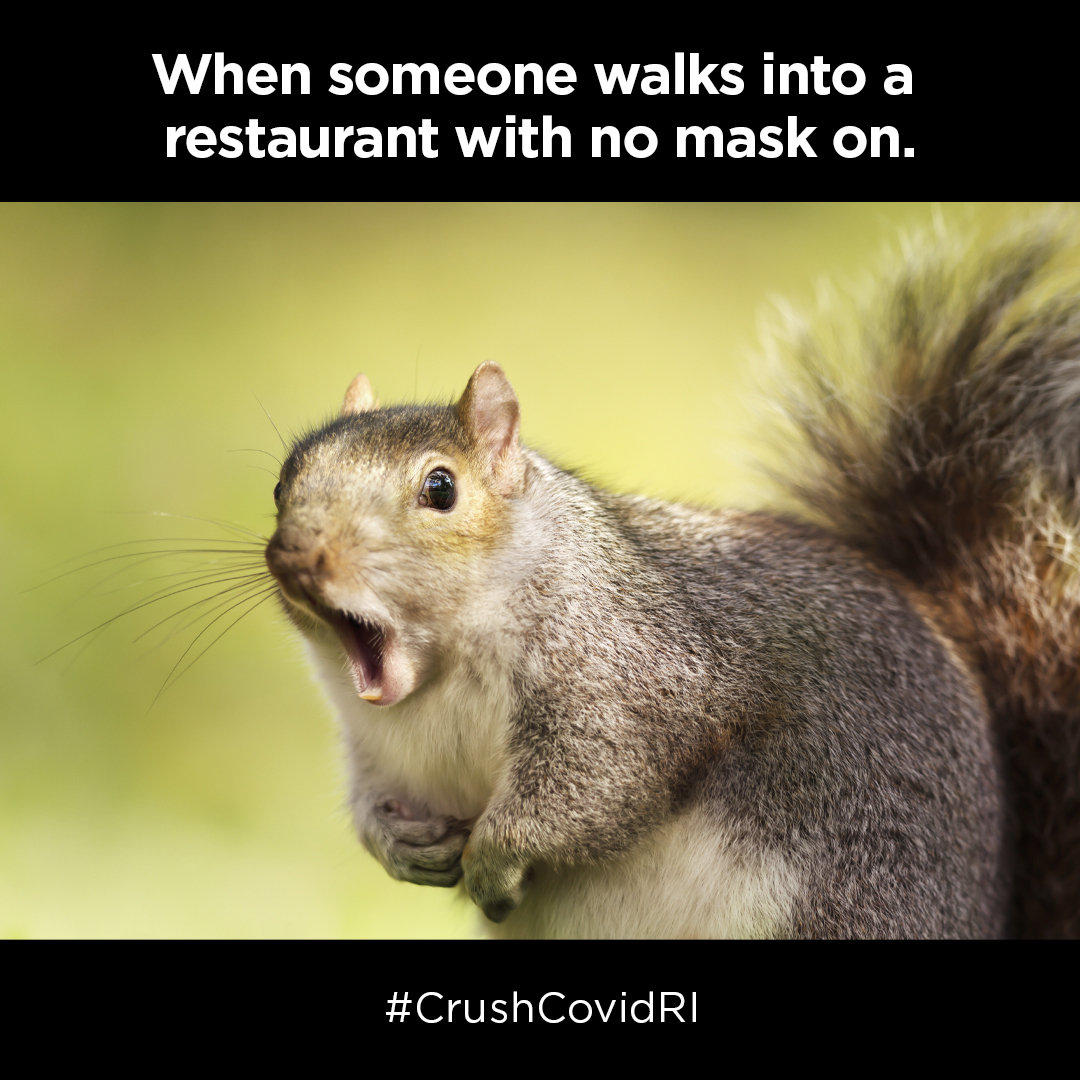 RDWGroup's tweet image. What do you "meme," information about #ReopenRI can't be shared in a fun, creative way? Our team thinks otherwise, and these memes prove it! #CrushCovidRI